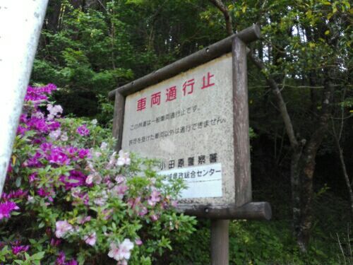rblog-20170521123113-01.jpg