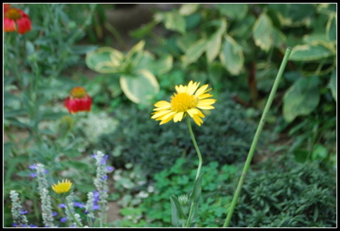 DSC_0010.JPG