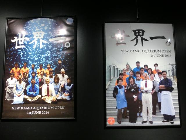 CIMG5775.jpg
