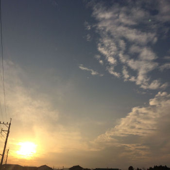 夕陽