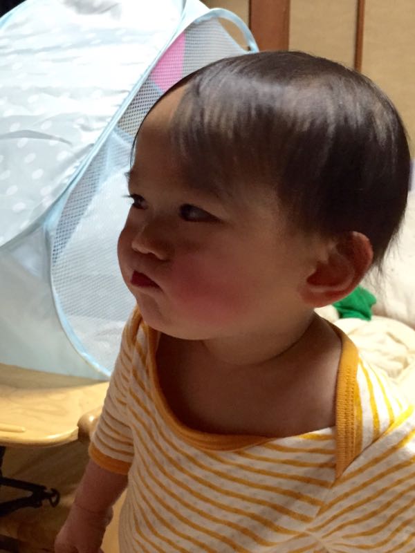 rblog-20150416212940-03.jpg