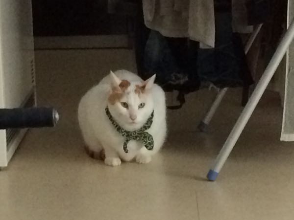 rblog-20150214154407-05.jpg