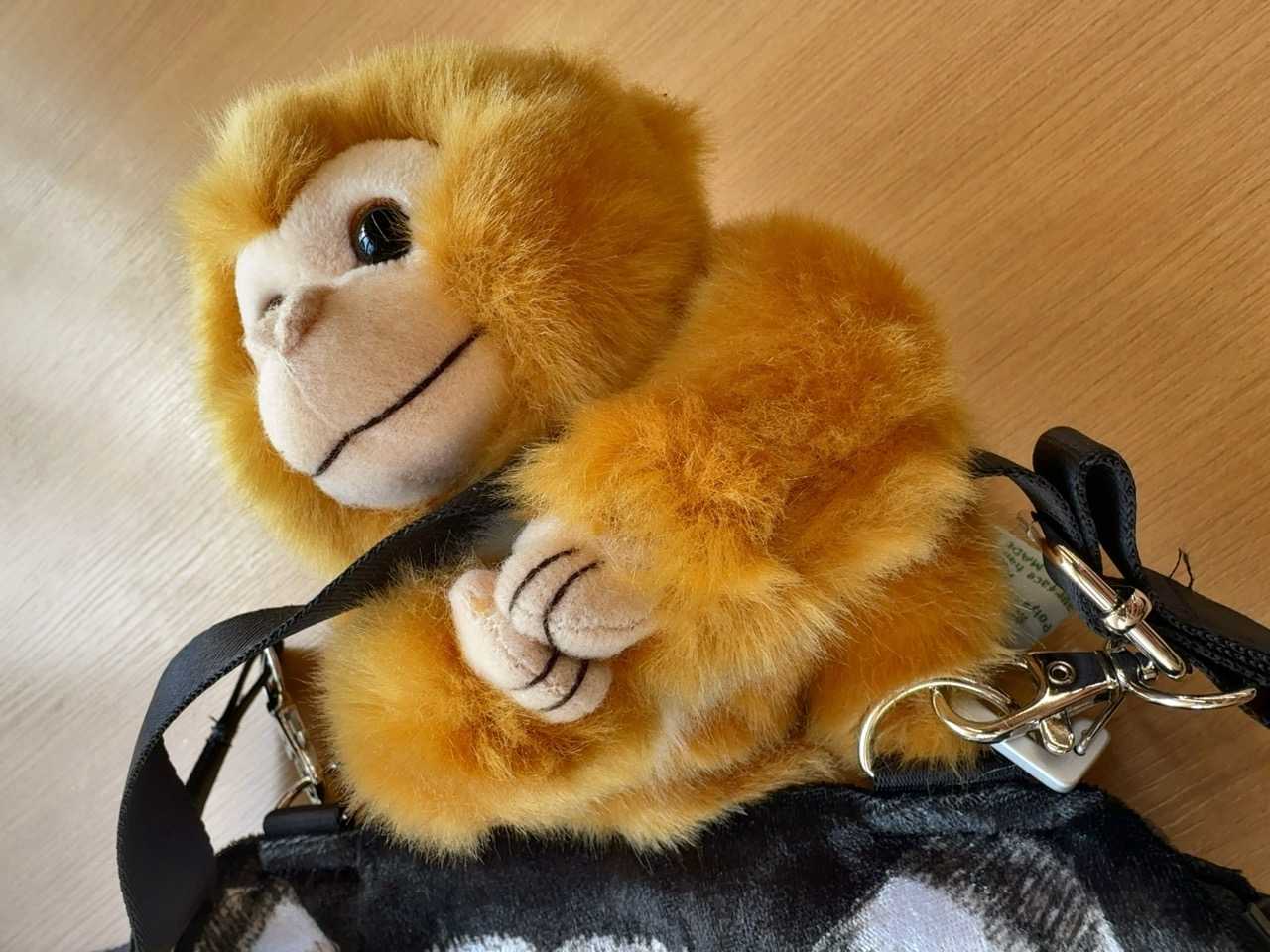 上野動物園 さるやまキッチン さるやまサンデー 600円 | イルカカメラ