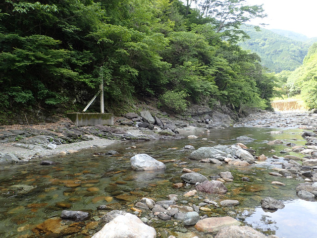 resize0009.jpg
