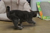 5DA_6644-15.jpg