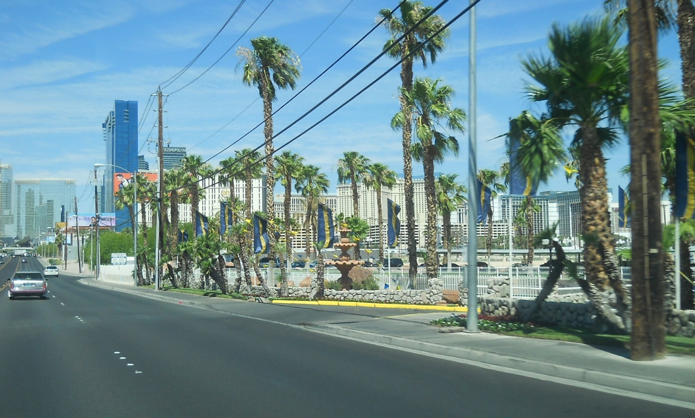 DSCN7842.JPG