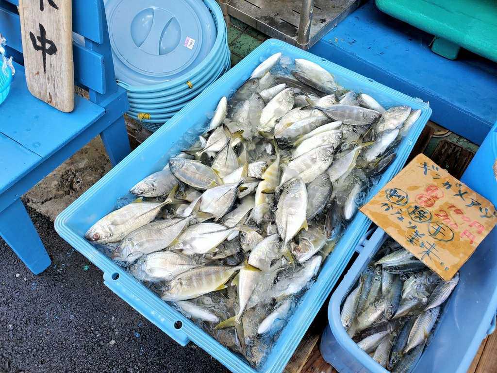 11 15 ら京さん直売 ランチ 魚と日常ブログ 楽天ブログ