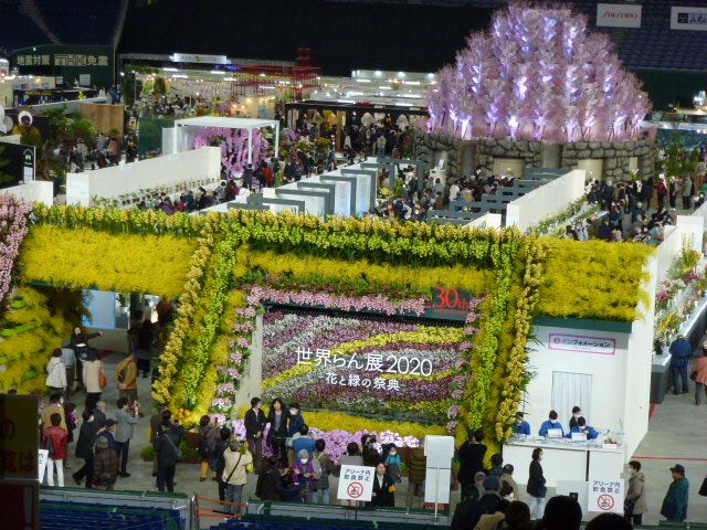 世界らん展2020(花と緑の祭典)へ行って来ました (写真あり) | 私の好きな花♪ - 楽天ブログ