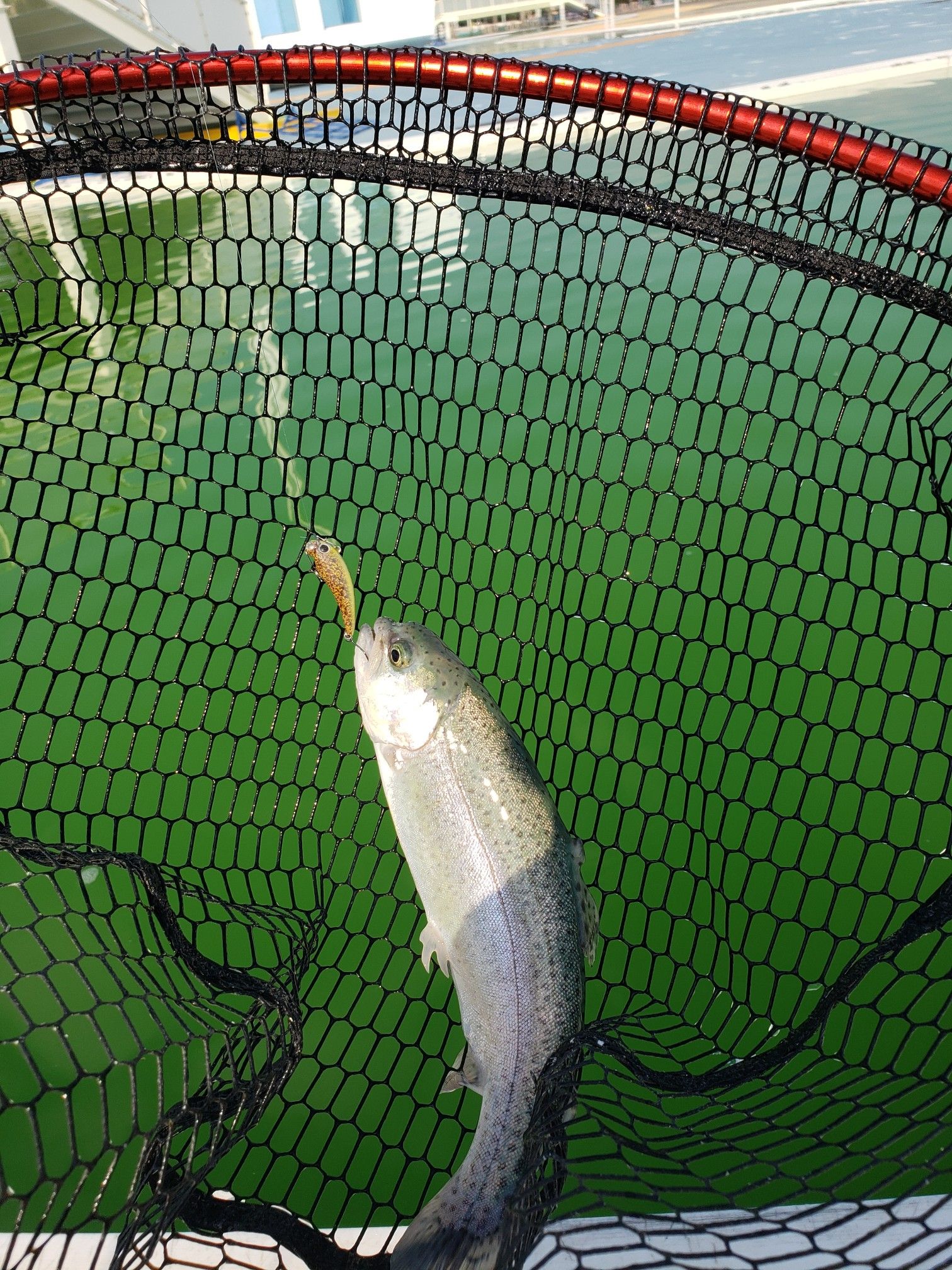 ボトムで爆釣 川越水上公園 No Fish No Life 3度の飯より釣りが好き 楽天ブログ ボトムで爆釣 川越水上公園 No Fish No Life 3度の飯より釣りが好き 楽天ブログ