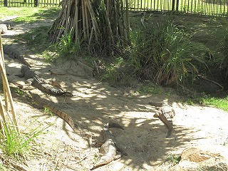 IMG_5256.jpg