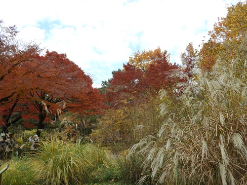 皇居東御苑