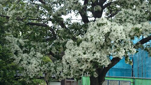 rblog-20160530174529-00.jpg