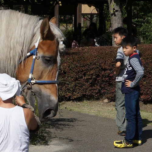 馬と子供