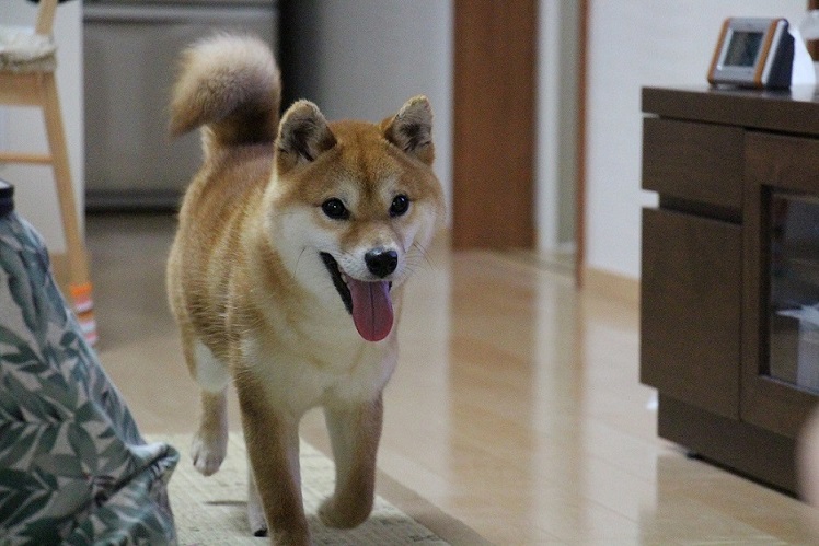2013.10.1-1-2.jpg