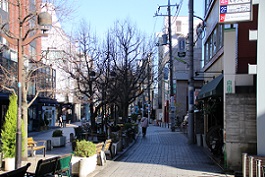IMG_6325-1.jpg