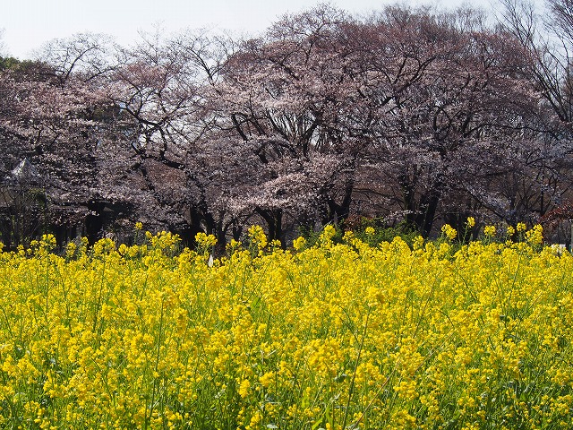 P3290443.jpg