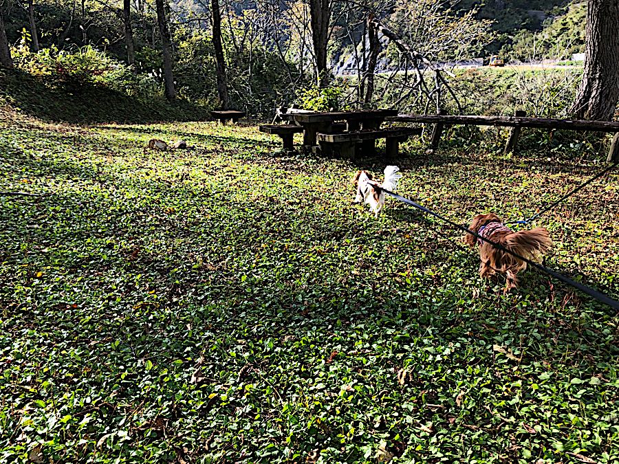rblog-20181025215617-10.jpg