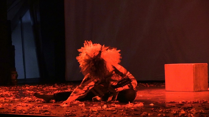 Danza del Colibri Mari Sano