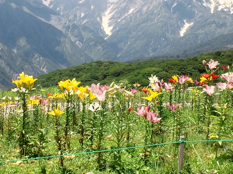 白馬岩岳-2