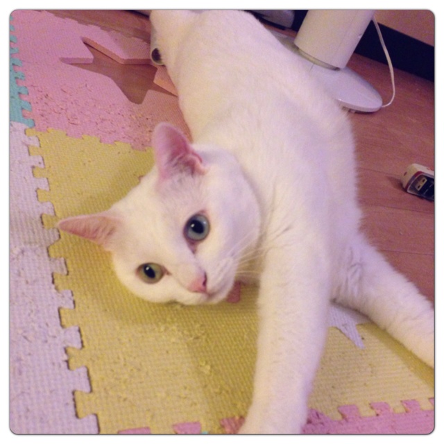 rblog-20130711014248-00.jpg