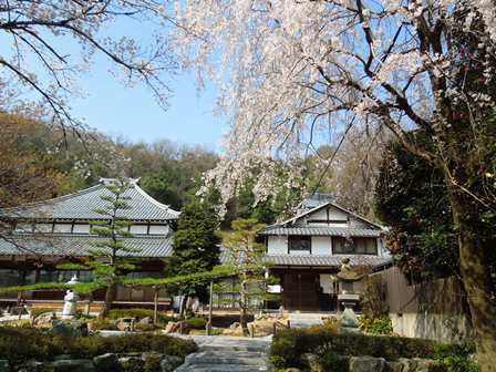 DSCN9561a.jpg