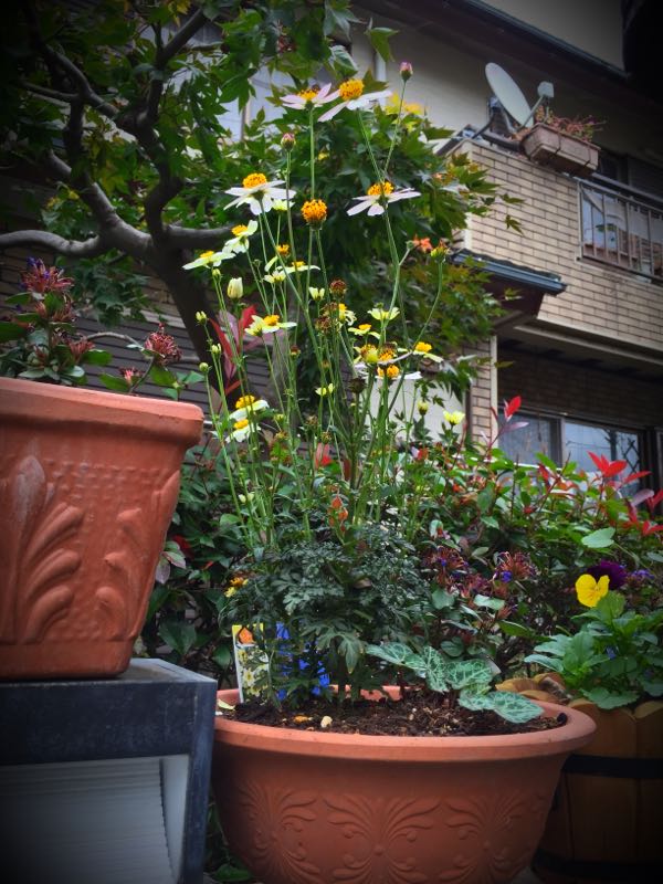 rblog-20151029145601-03.jpg