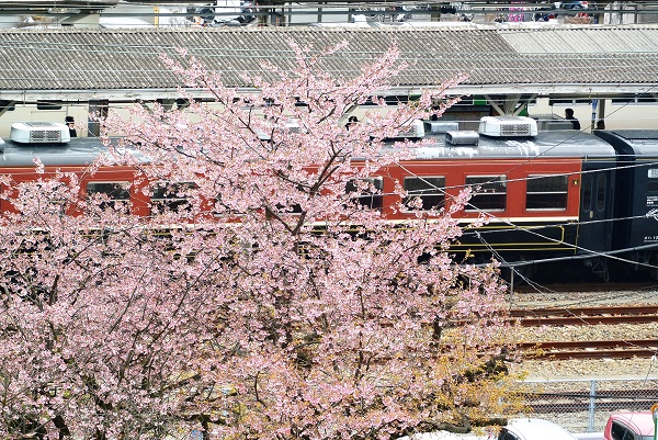 伊東公園