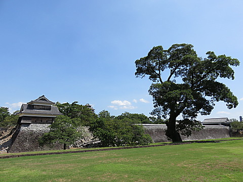 IMG_4826.jpg