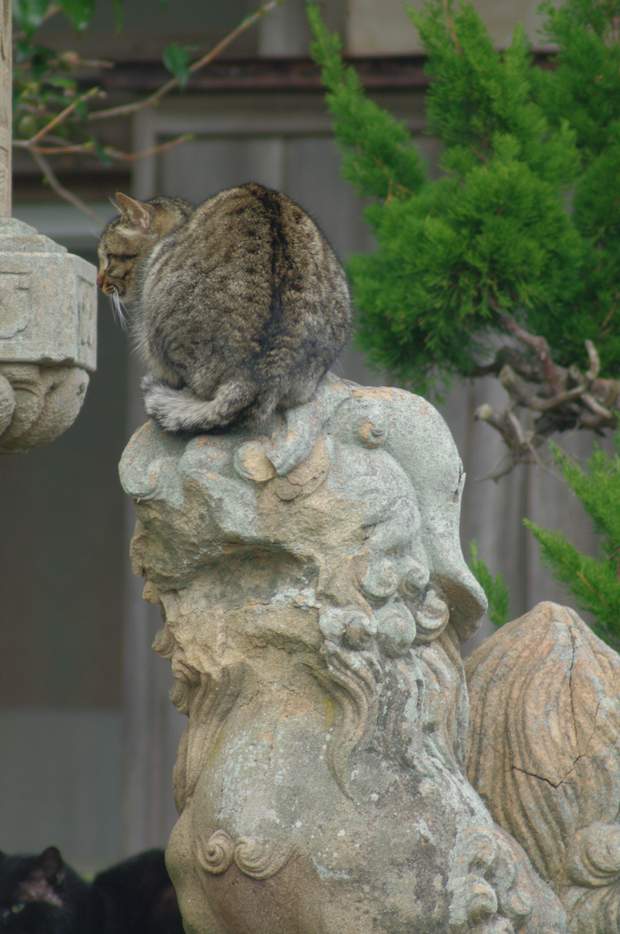 IMGP8130.JPG