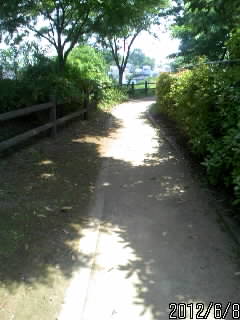 芳賀城本丸の道