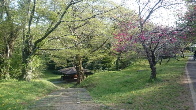 2015-04-18 15.32.00.jpg