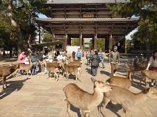 20141122東大寺南大門.jpg