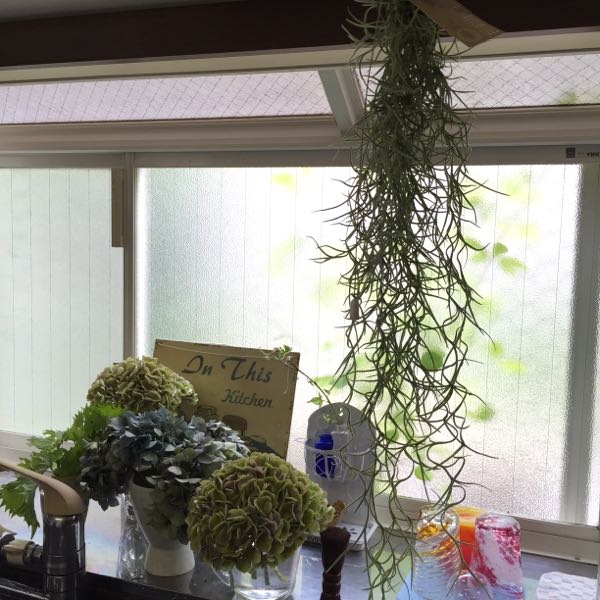 rblog-20160905130038-01.jpg