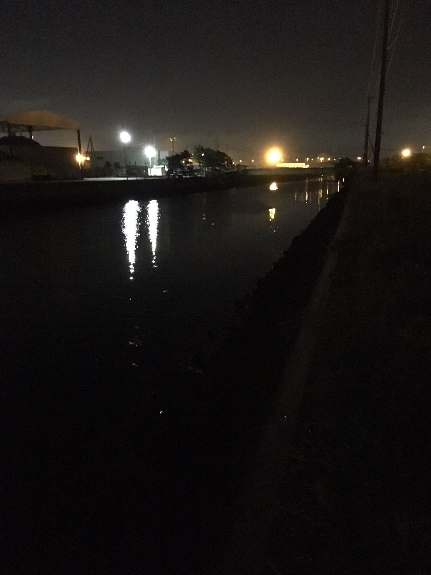 土留木方面でセイゴ狙い 闇夜の底釣り 楽天ブログ