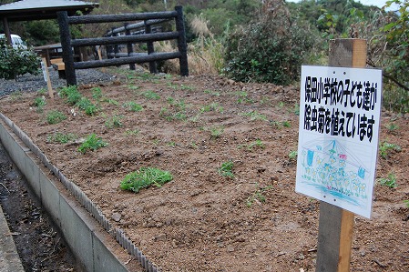 s-DSC_0095.jpg