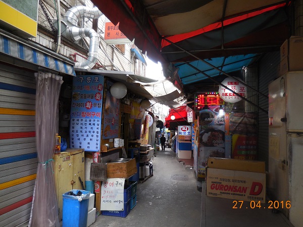 DSCN7621.jpg
