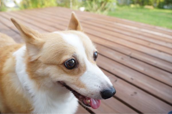 rblog-20160905223212-01.jpg