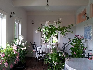 2013-07-06 14.13.00ss.jpg