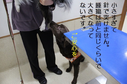 安心を