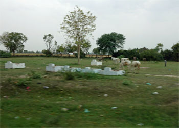 インド390.jpg