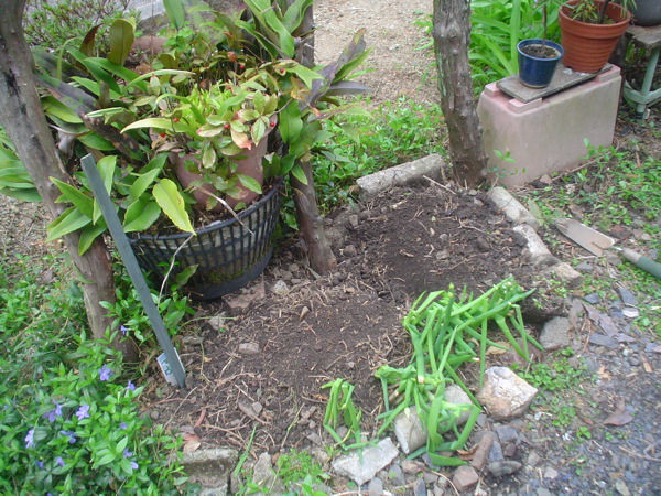 burogu_12_04_16_01.jpg