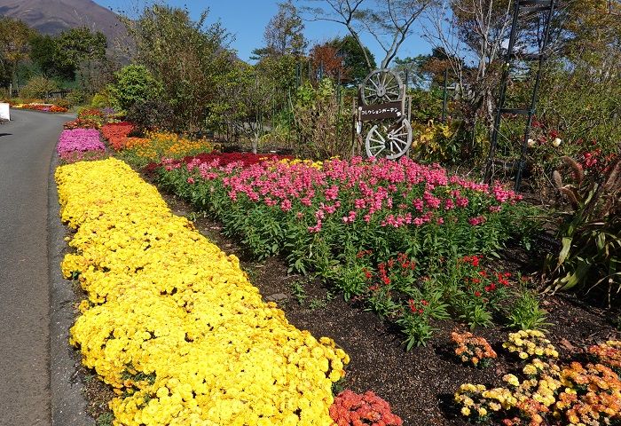 九重花公園へ行ったよ。① 九重連山を後ろに花が素晴らしかった | げんそうてきなの旅行と花:一部栽培している野菜とパッチワーク - 楽天ブログ