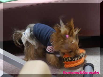P1170613.jpg
