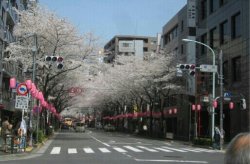2014.04.02 中野