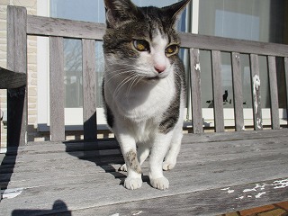 IMG_5090ss.jpg