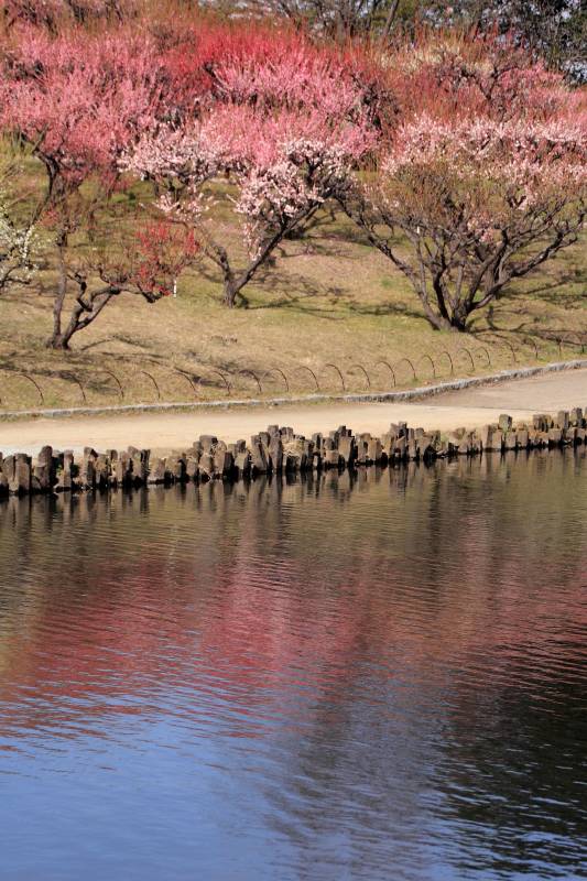 緑ヶ丘公園_003.jpg
