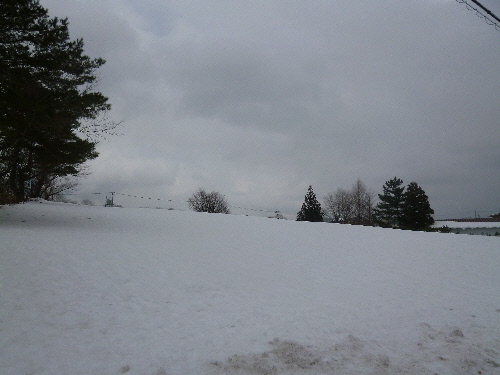 P1140670(1).JPG