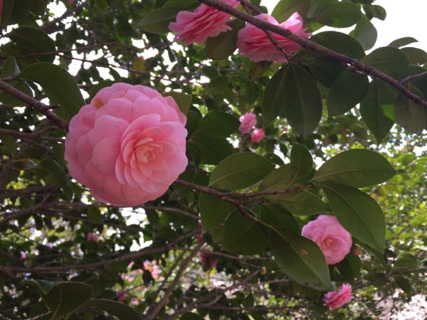 rblog-20170414000747-03.jpg