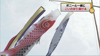 こいのぼり.jpg