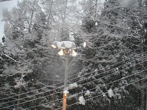 2012.02.04 016.jpg